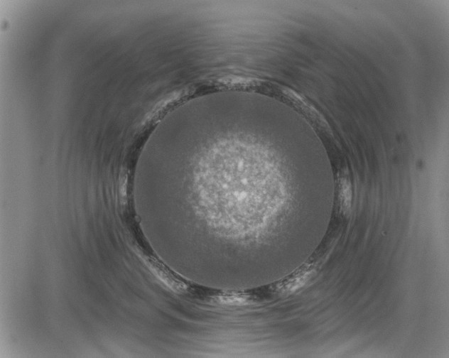 X0000084560668200703021425