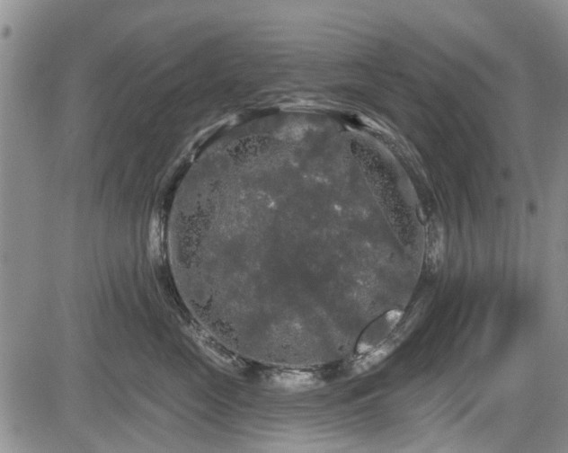 X0000084560669200703021425