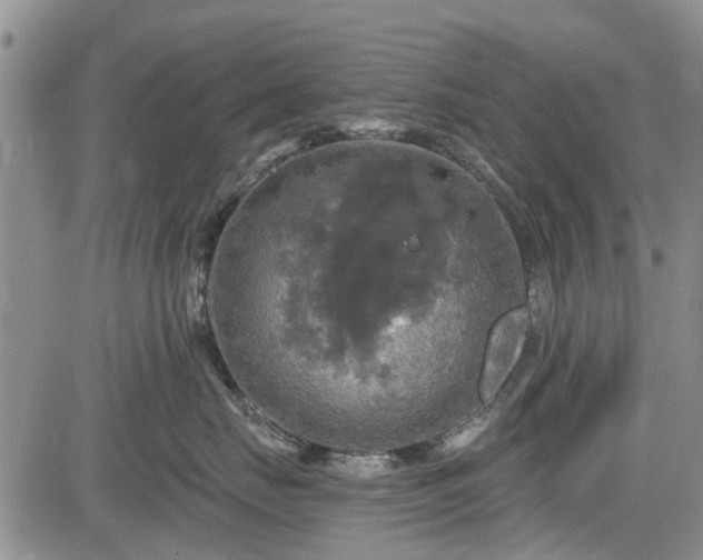 X0000084560671200703021425