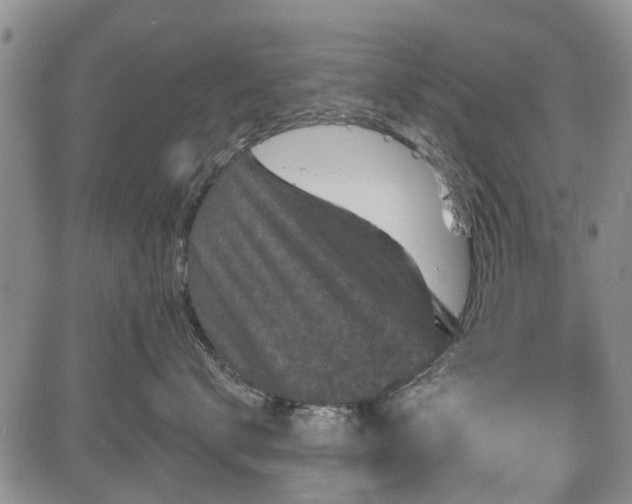 X0000084560672200703021425