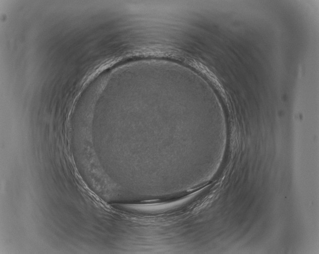 X0000084560673200703021424