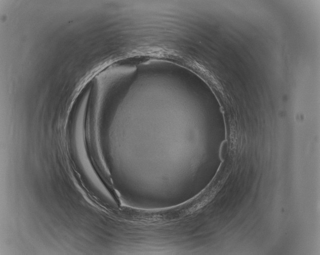 X0000084560674200703021424