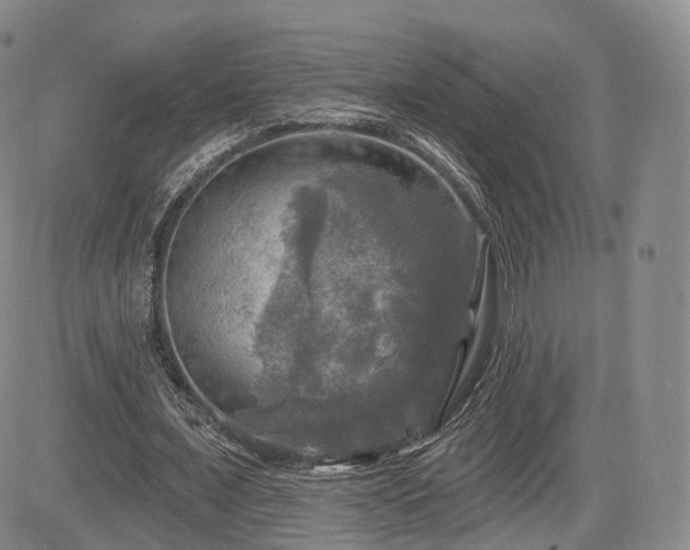 X0000084560675200703021424