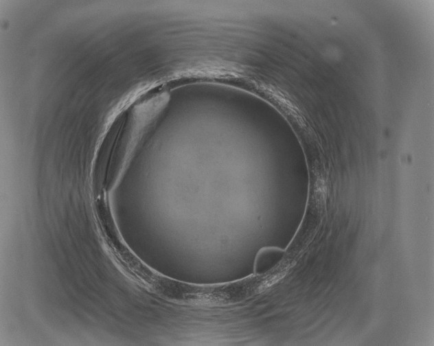 X0000084560678200703021424