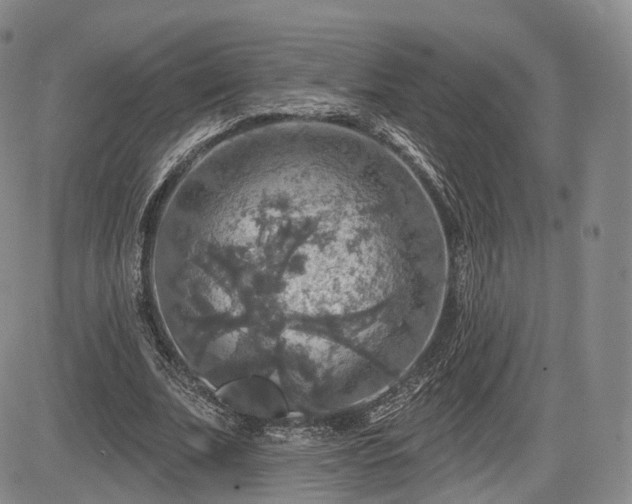 X0000084560679200703021424