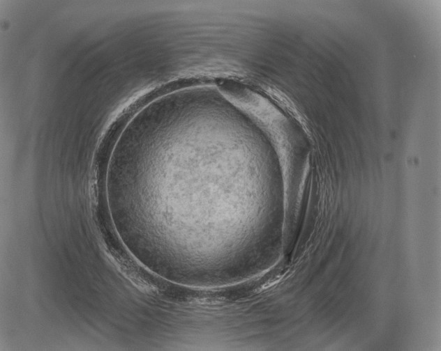 X0000084560680200703021424