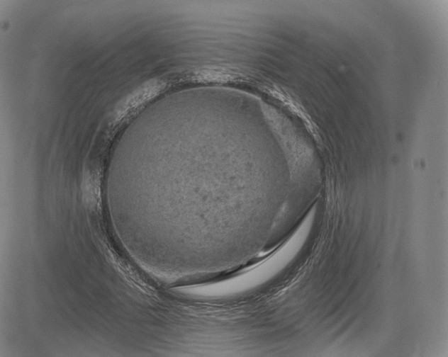 X0000084560681200703021424