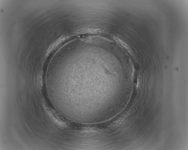 X0000084560682200703021424