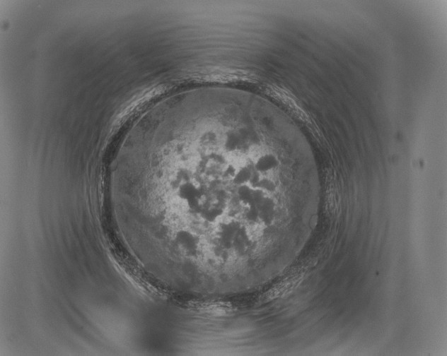 X0000084560683200703021424