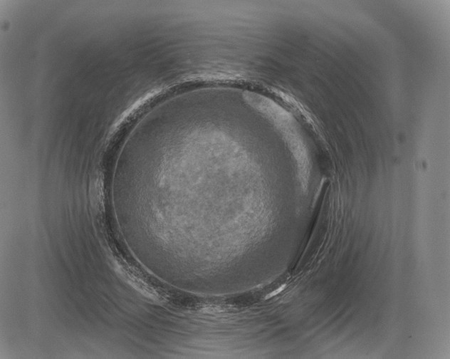 X0000084560684200703021424