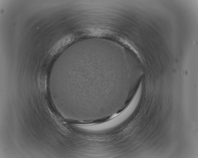 X0000084560685200703021424