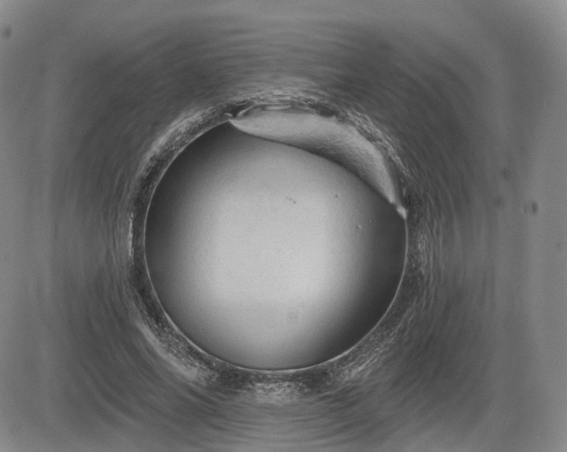 X0000084560686200703021424