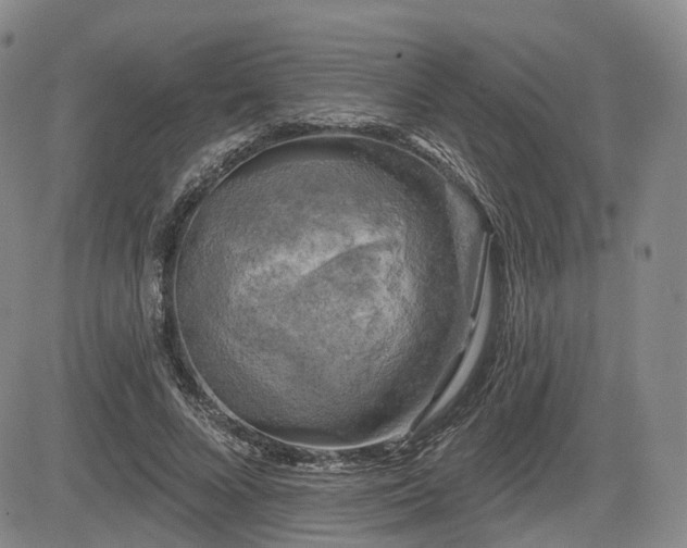 X0000084560688200703021424