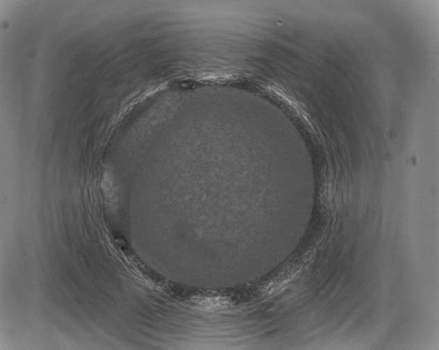 X0000084560689200703021424