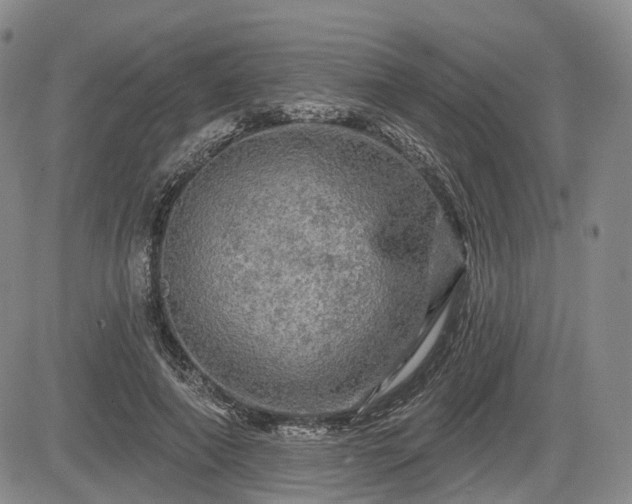 X0000084560690200703021424