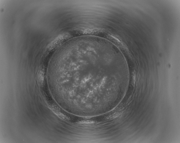 X0000084560691200703021424