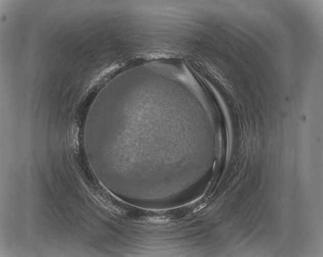 X0000084560692200703021424