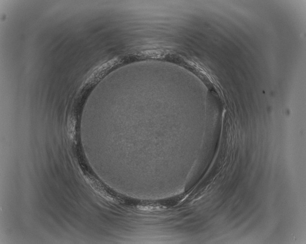 X0000084560693200703021424