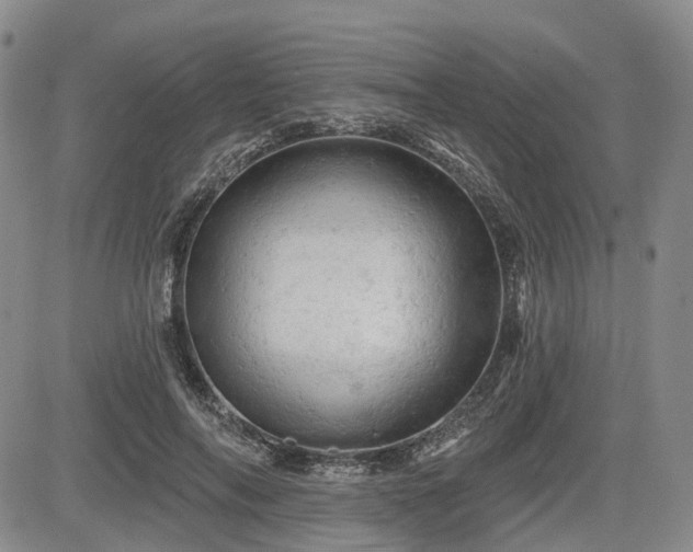 X0000084560694200703021424