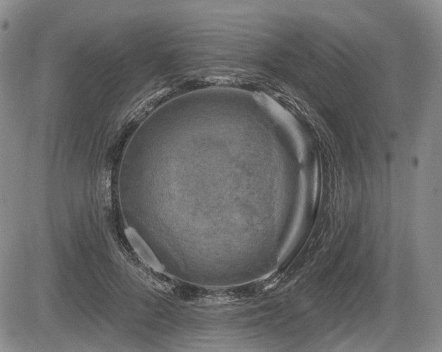 X0000084560696200703021424