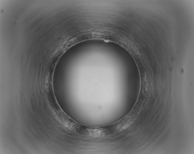 X0000084560698200703021424