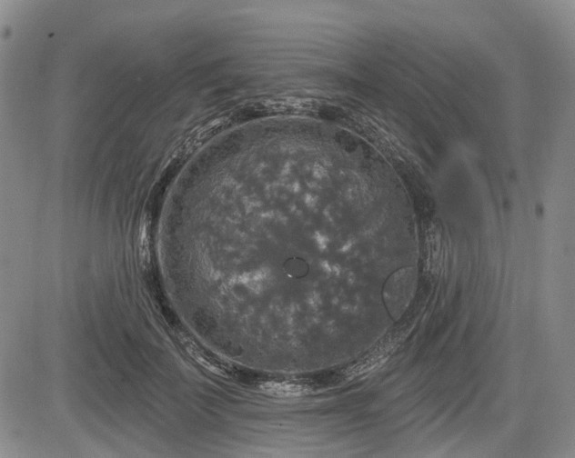 X0000084560699200703021424