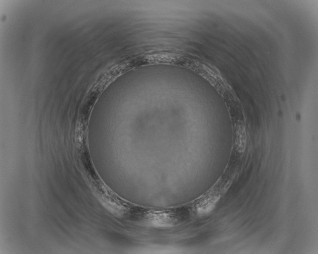 X0000084560701200703021424