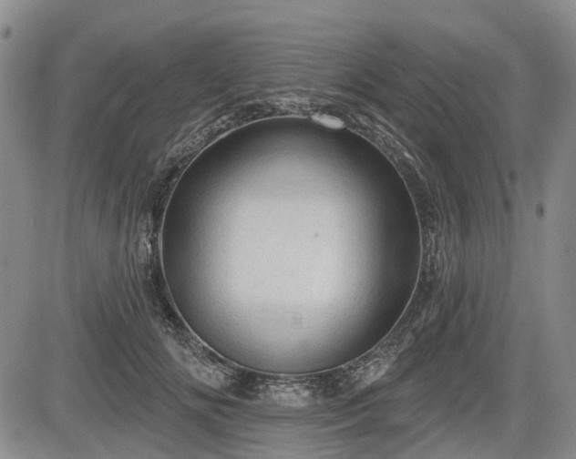 X0000084560702200703021424