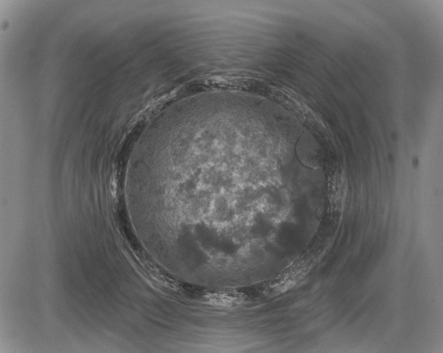 X0000084560703200703021424