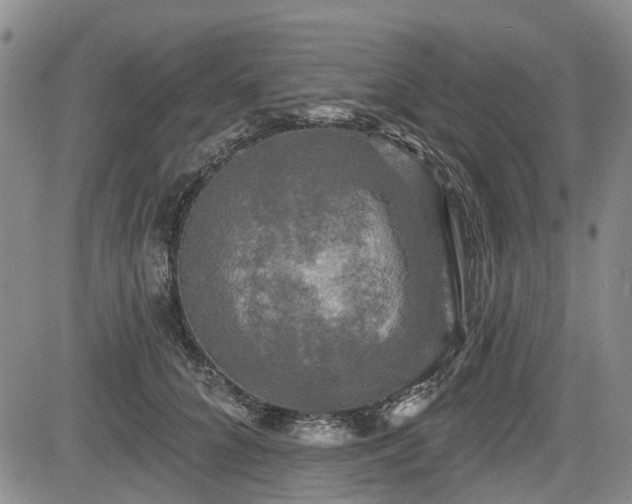 X0000084560704200703021424