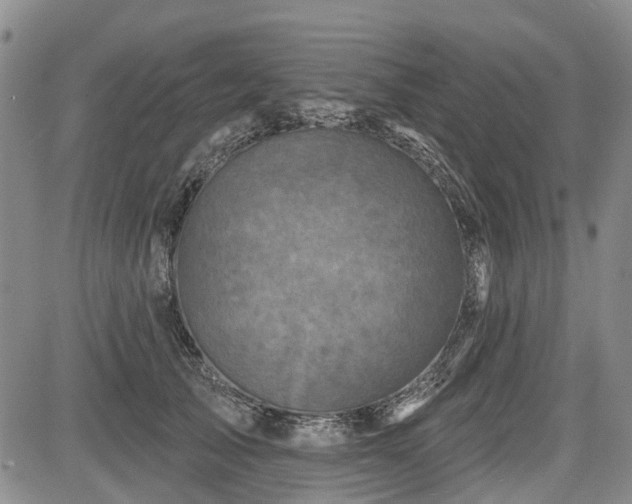 X0000084560705200703021423