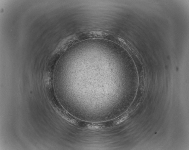 X0000084560706200703021423