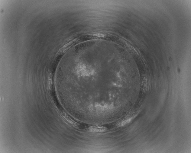 X0000084560707200703021423