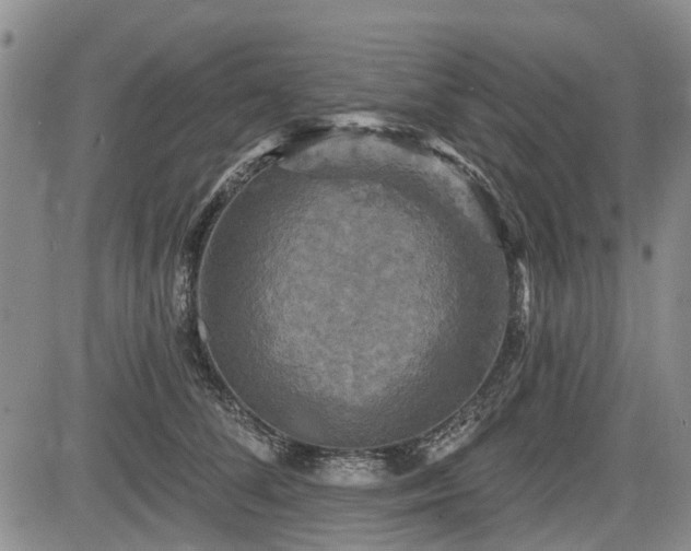 X0000084560708200703021423