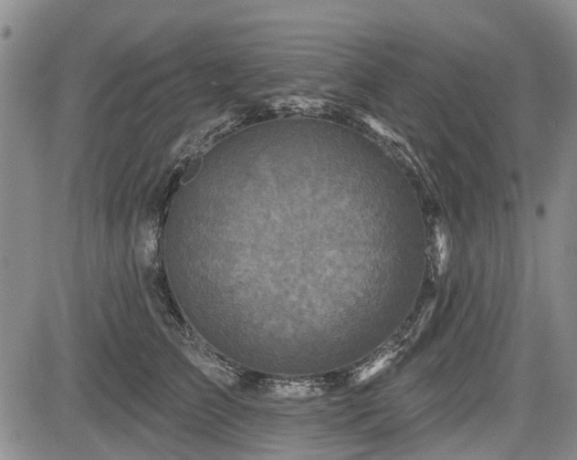 X0000084560709200703021423