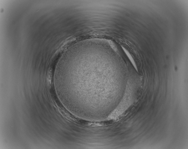 X0000084560710200703021423