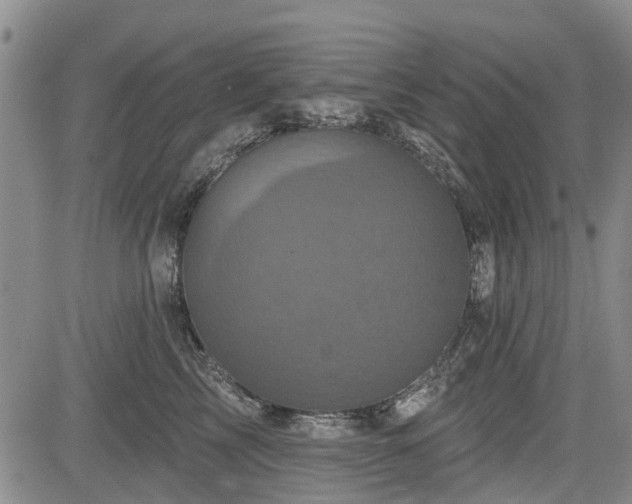 X0000084560713200703021423