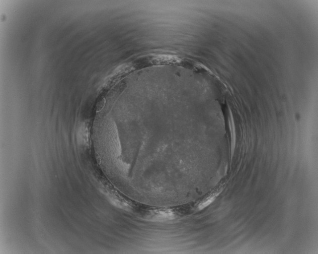 X0000084560715200703021423