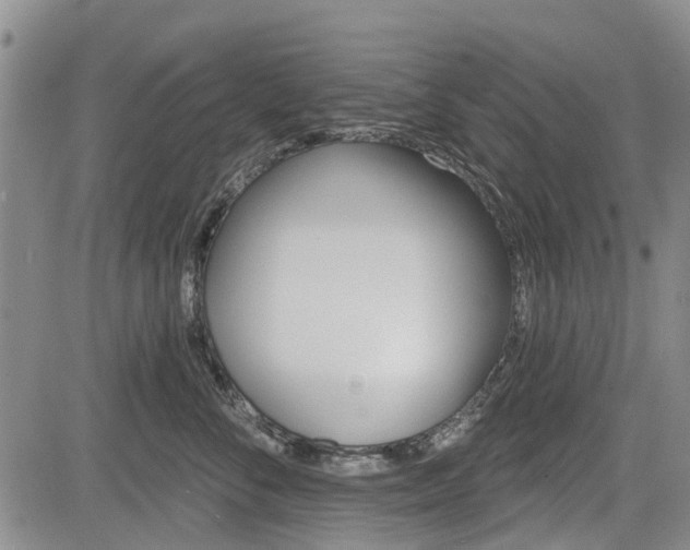 X0000084560716200703021423