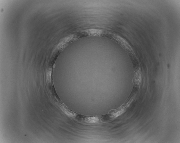 X0000084560717200703021423