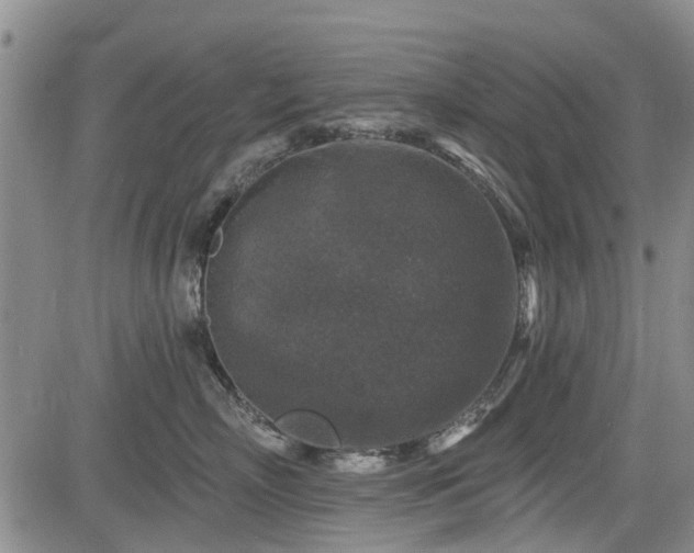 X0000084560718200703021423