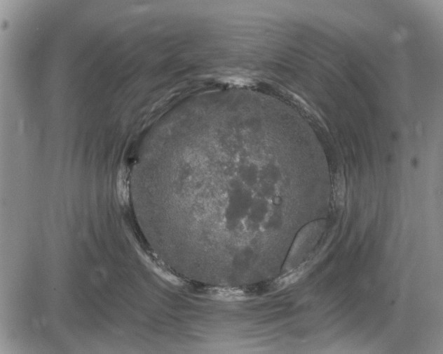 X0000084560719200703021423