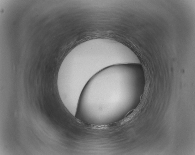 X0000084560720200703021423