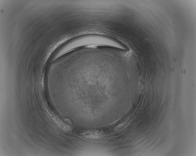 X0000084560727200703021423