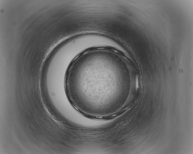 X0000084560728200703021423