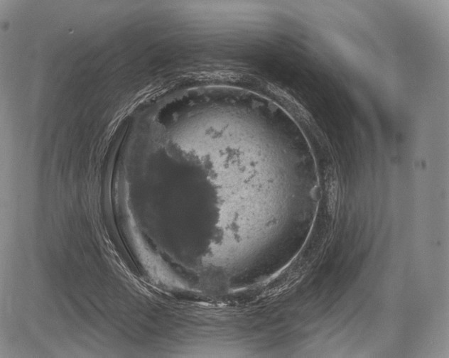 X0000084560729200703021423