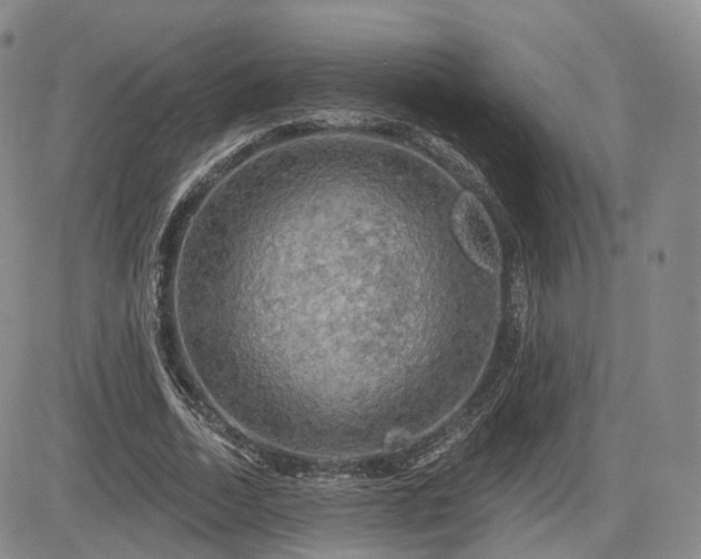 X0000084560730200703021423