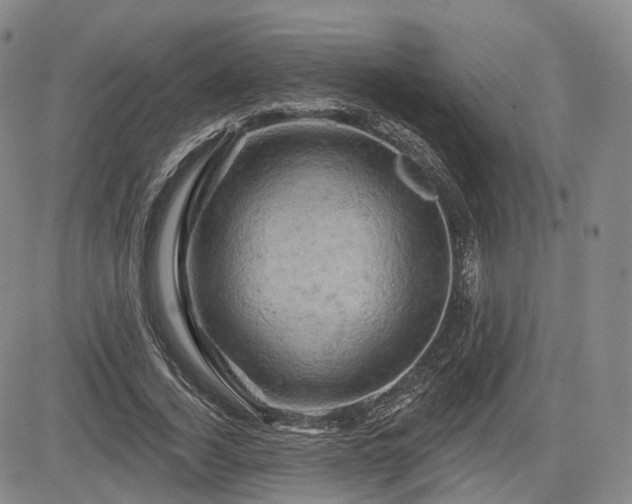 X0000084560732200703021423