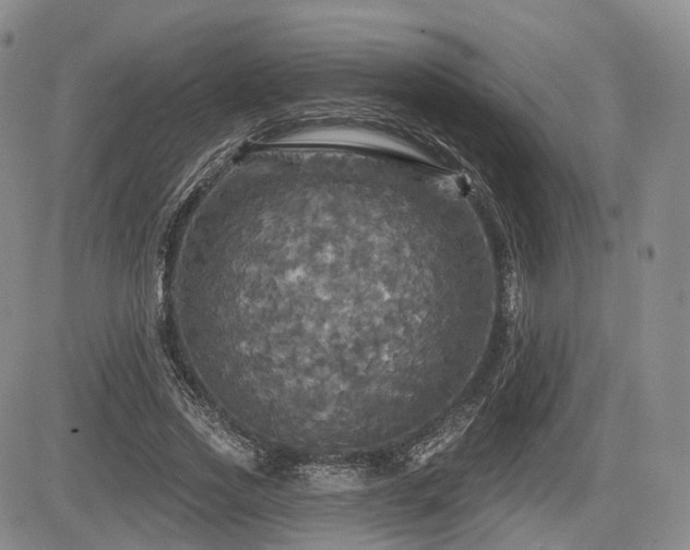 X0000084560733200703021423