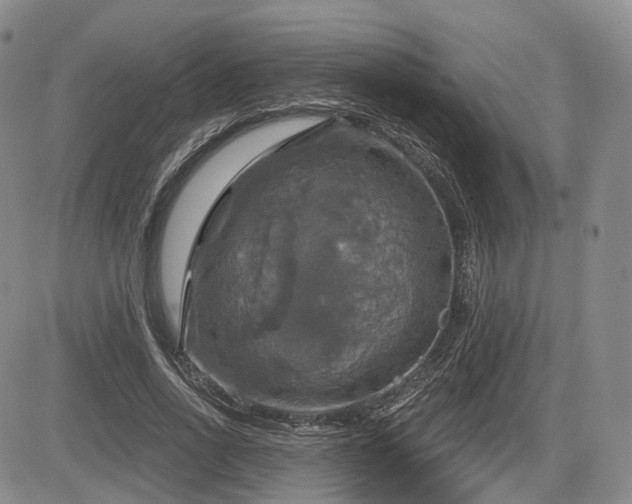 X0000084560734200703021423